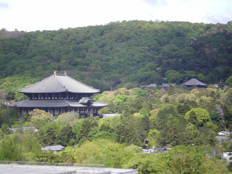 東大寺や奈良公園、若草山が眺望できる奈良県庁屋上