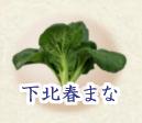 しもきたはるまなのページへ